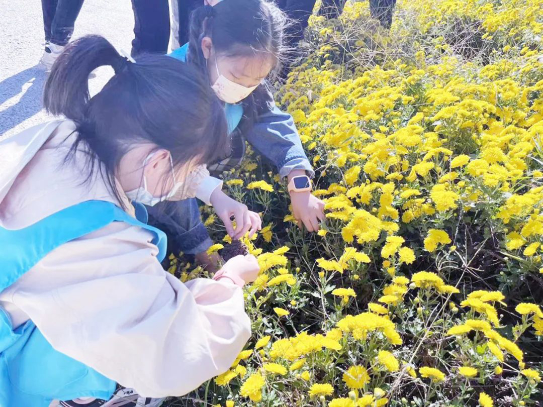 ObesQx3EEzdEG6AldoxCRjfOfmXgnHw9pER9Vc6i