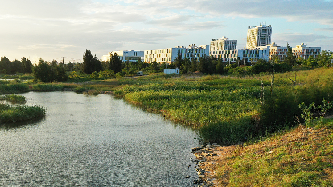 PwiP09pZl8KLJgeE38D7mUrmoshs88SoSavKugmf