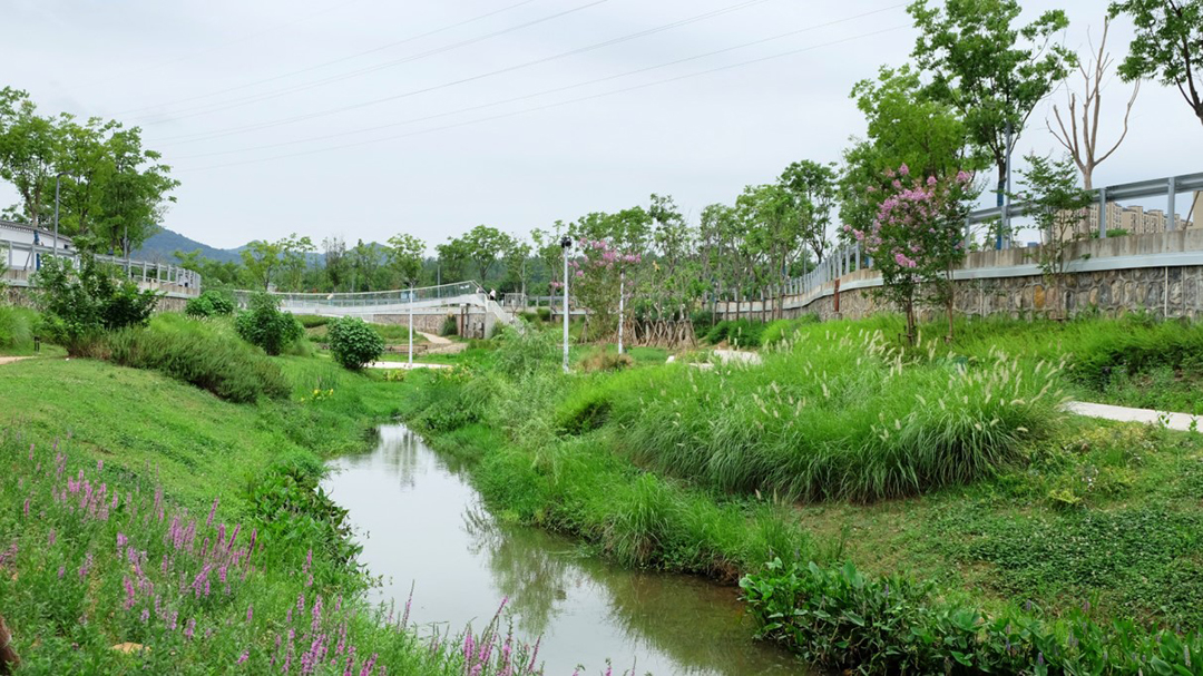 UVwKnw4hMymLjURiB7VVbhwYwM69UmIW1S8o8Lt9