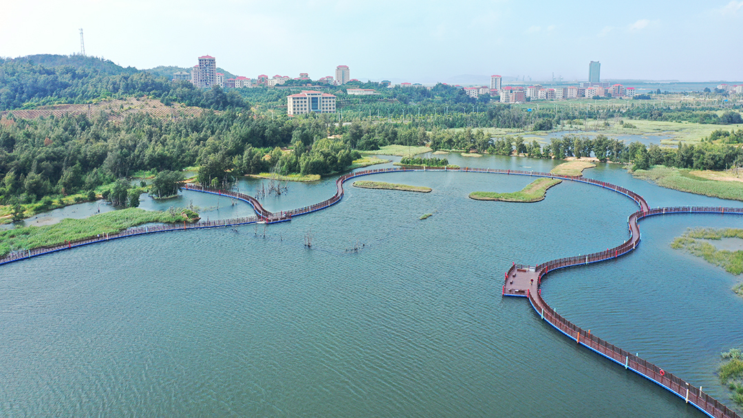 WKa0V49cm3yQuC9KLm0xUXK8sgZ33mQpfn9v8VNi