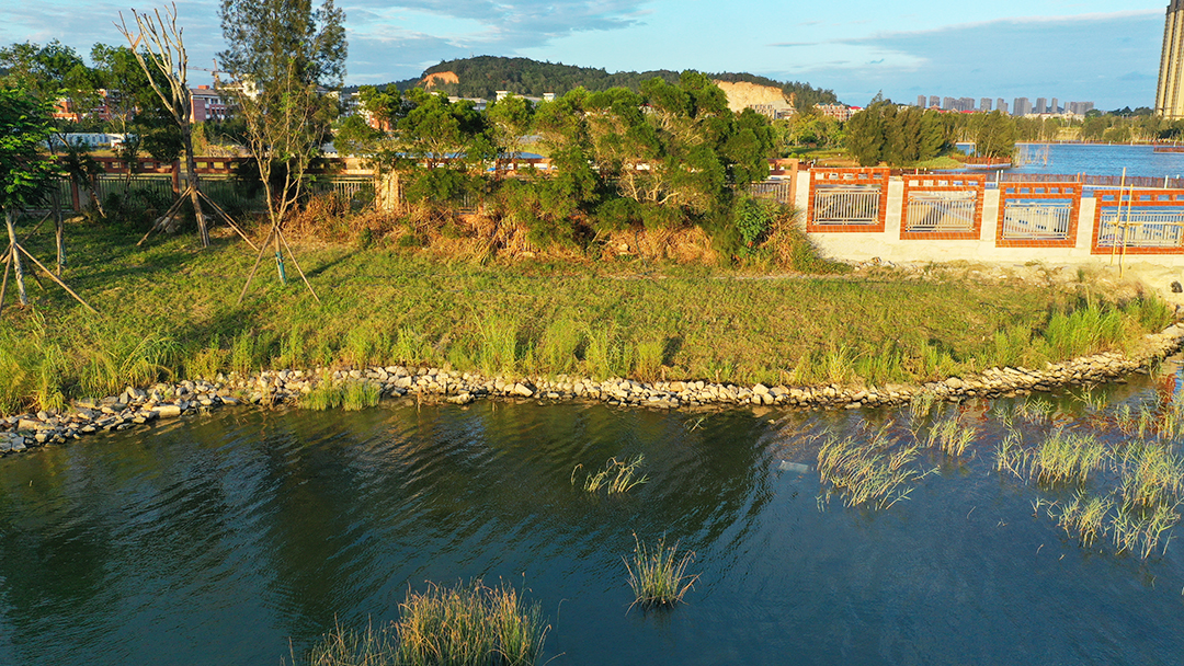 YrrdcRZi7Z9o8W1uAnHInnyrbHogmMgJ6Gv4mDMk