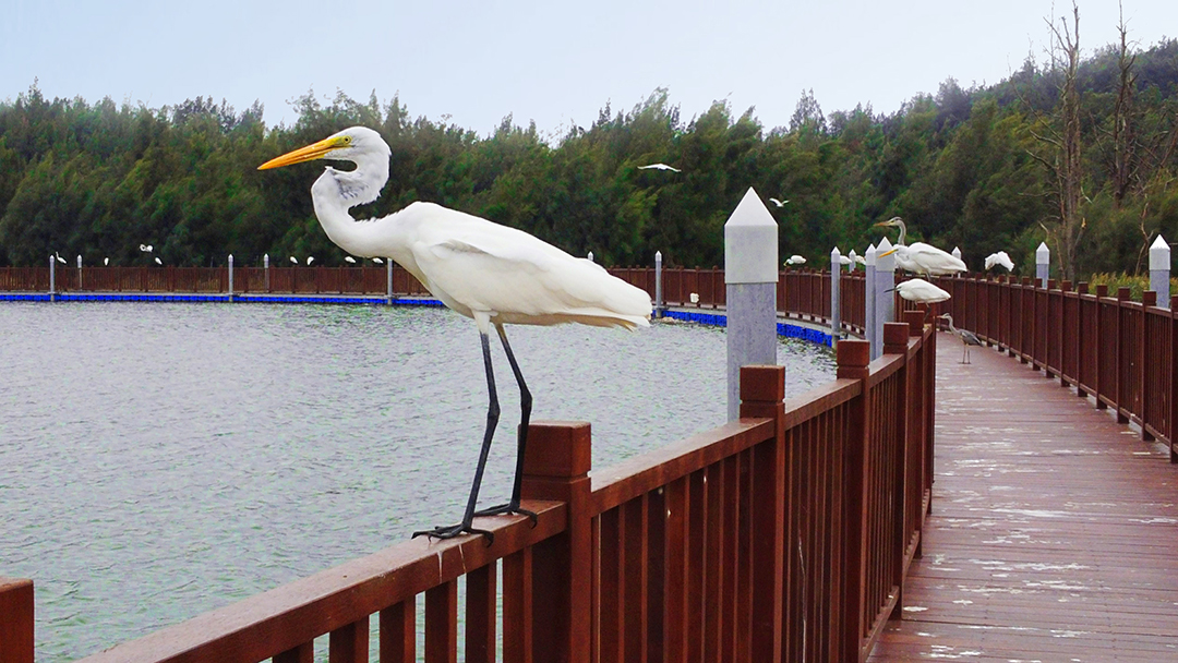 YsxsR12K4ZClDVsZmjZkixYMok9LhR62NSm2CjDL