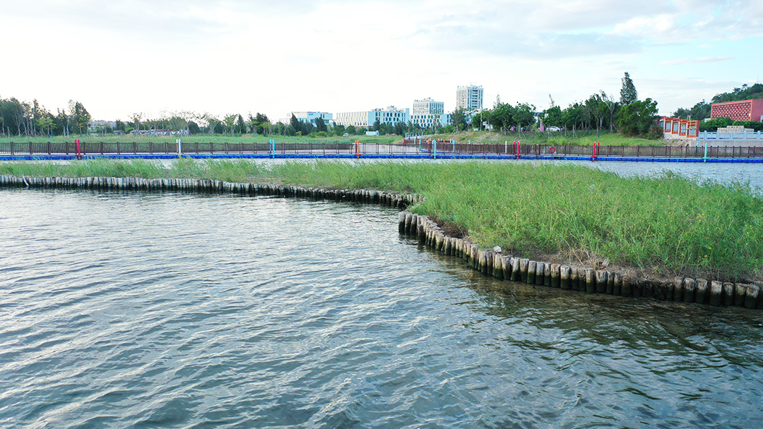 dIgJQ4aStpJheFReDrTrLFDtOM6bsTbtKD56FQSZ