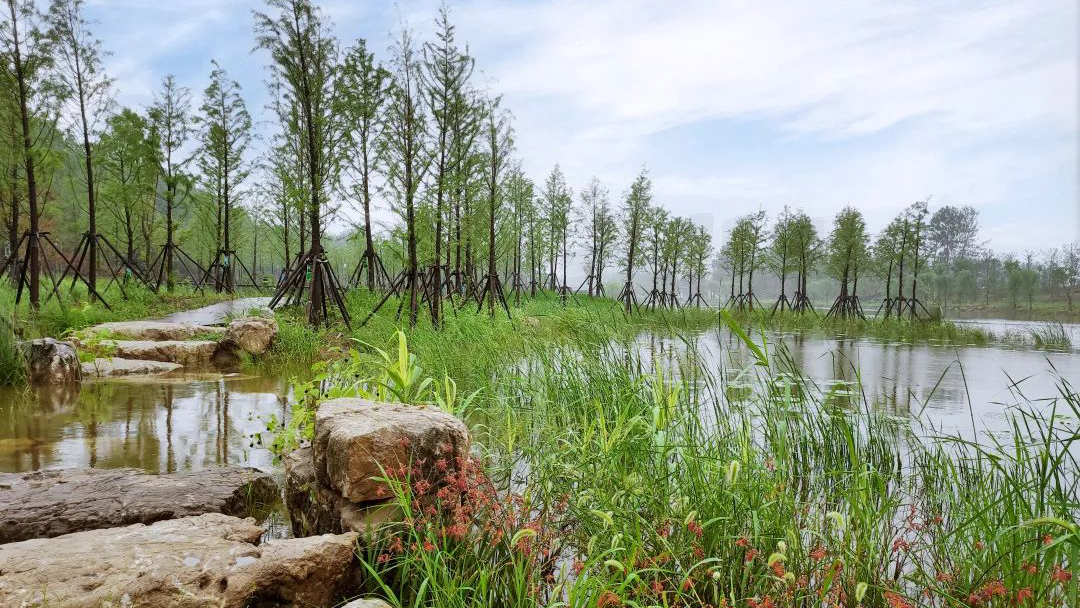 iZQYZYBH6ivNdX6WoaGUOpFPyfRvufyE1eEibGCe