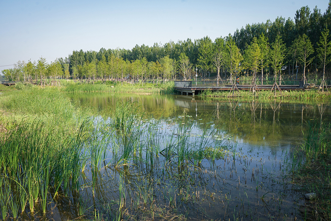 6euYrZ6lHu3pQRtjP3kbqnT83rB7SuLC4bAKgWYk