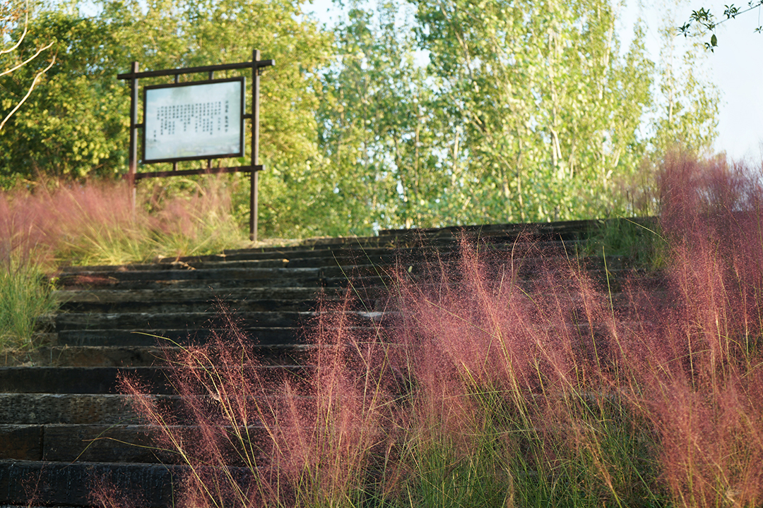 Z4Vv8Qn5qA2BDjdtVlhO8dTeMdS5S5jjcjd1WpVs