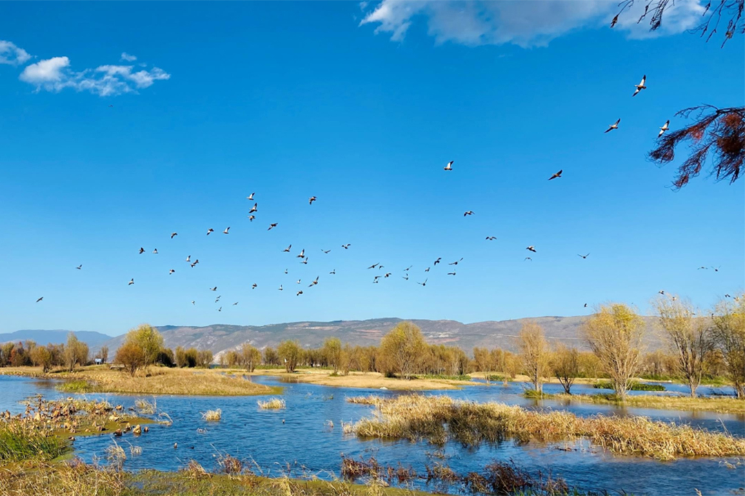 BZLmtktfAWpFoCLq5X2FpJOM5dZPaiWNfEQzupCF