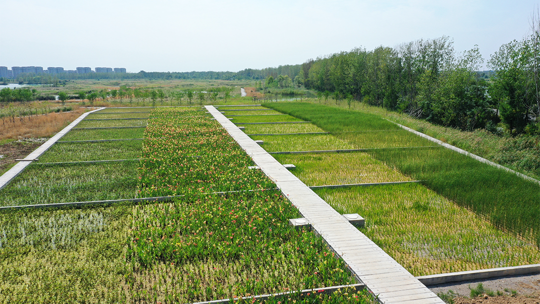 IYJdZ29YrWoOv7Vx8eUrgGe5FvwikjZ1n4ceGO17