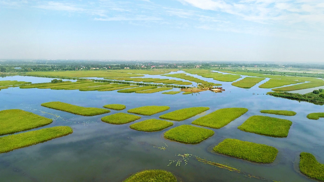 pbbfU5xDNi5UpkrwgDyQ7dqpebiK0ntZNoi4dINK