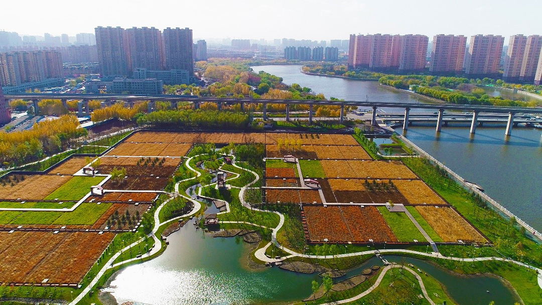 Om9CBzBmZkdBN7zJk0FgpP24YuRpuIzgublYao74