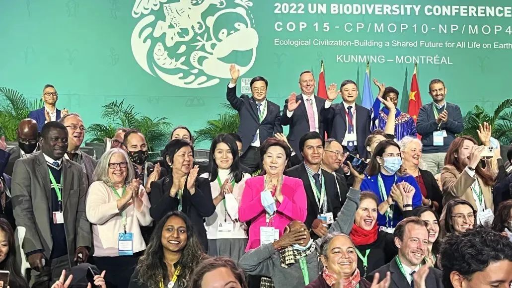 3KxD6tB6G543HuWL2SWyBJ7FBWFdIbxD0vQJlgZa