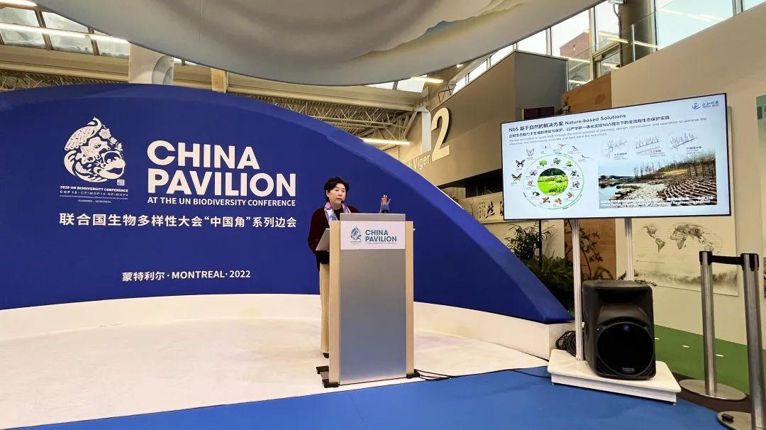 Hb5vHNhPxTMOykfG3pZQ9cjZ5Z9FjDYjeP6jGlGq