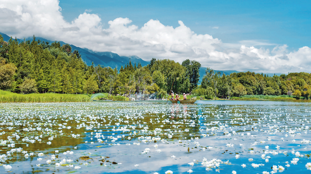 vHbfi5YA9TWXAchOcmktMxODNaXY7UakwfQKqmHc