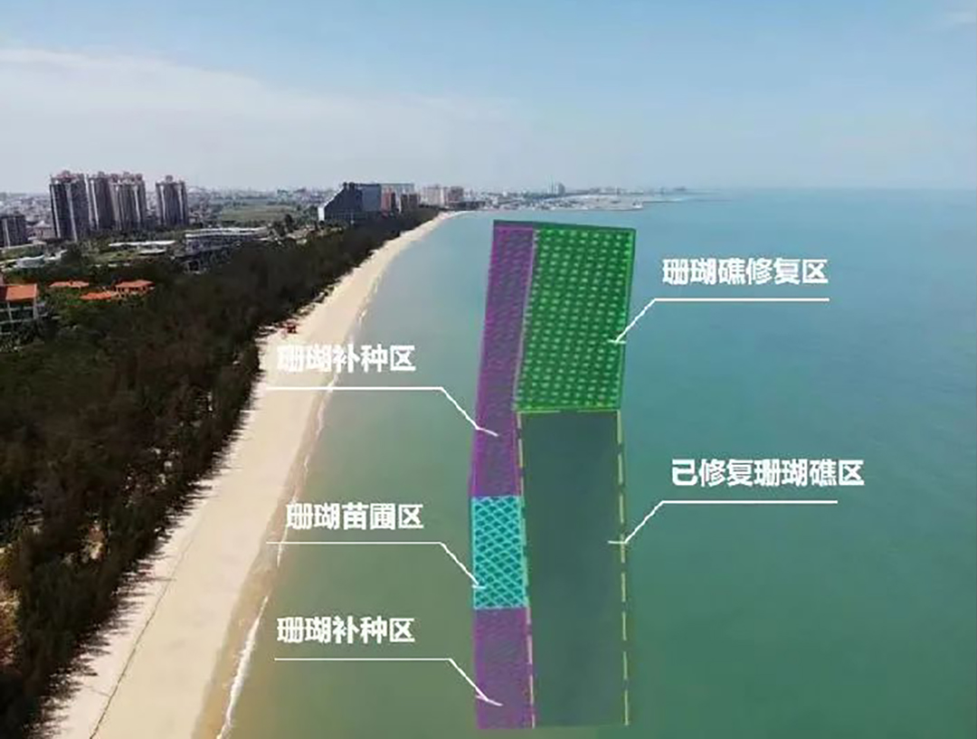 JVuWNiNiFyNIDENnThFxNOtnIbYrq3WVIWYl4bV4