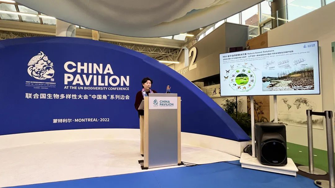 v3sOFEXxJIhC0GcBg8vvDUb5athc3YYtxIW6CQfg