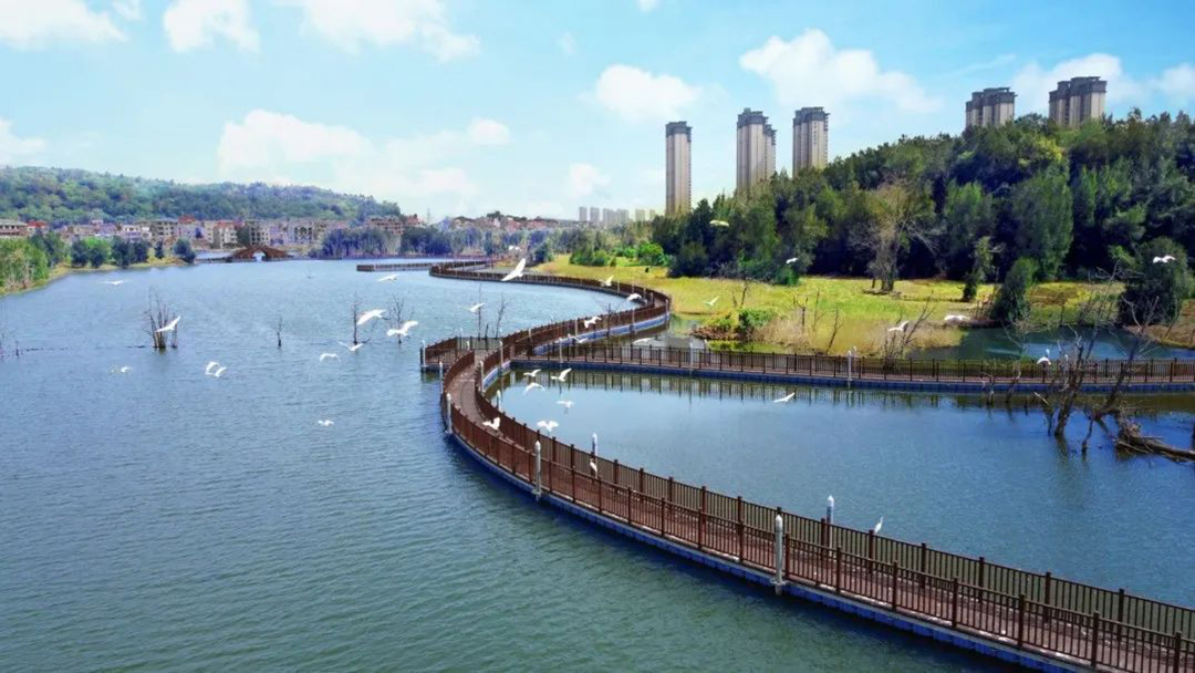 0B2cVLkjCVlRLz98IJ6fIDZer65SxG8ORopeStNv