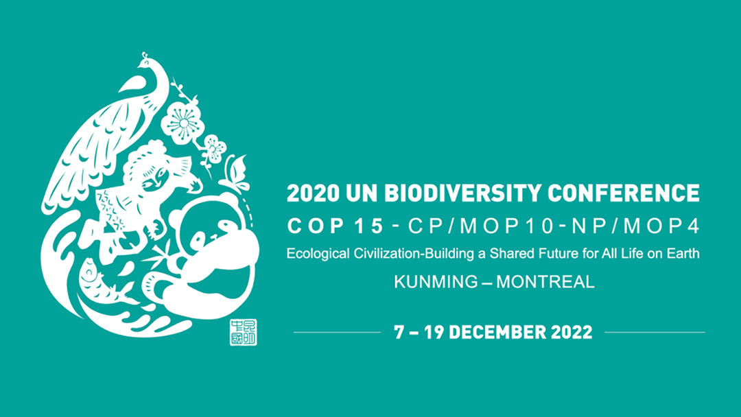 9EU7xcpmdzV8jESvOqhLIRztemqZGGocHl3LpTRN