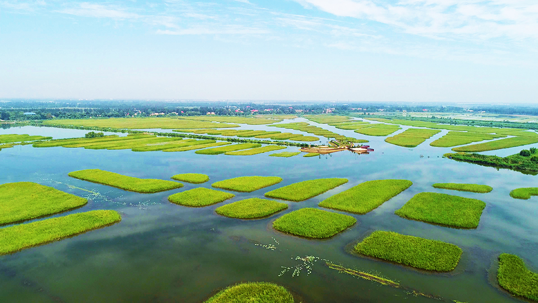 GvyzhobT0aD7csT6q02JRtsydClZFpo2zb57PvCl