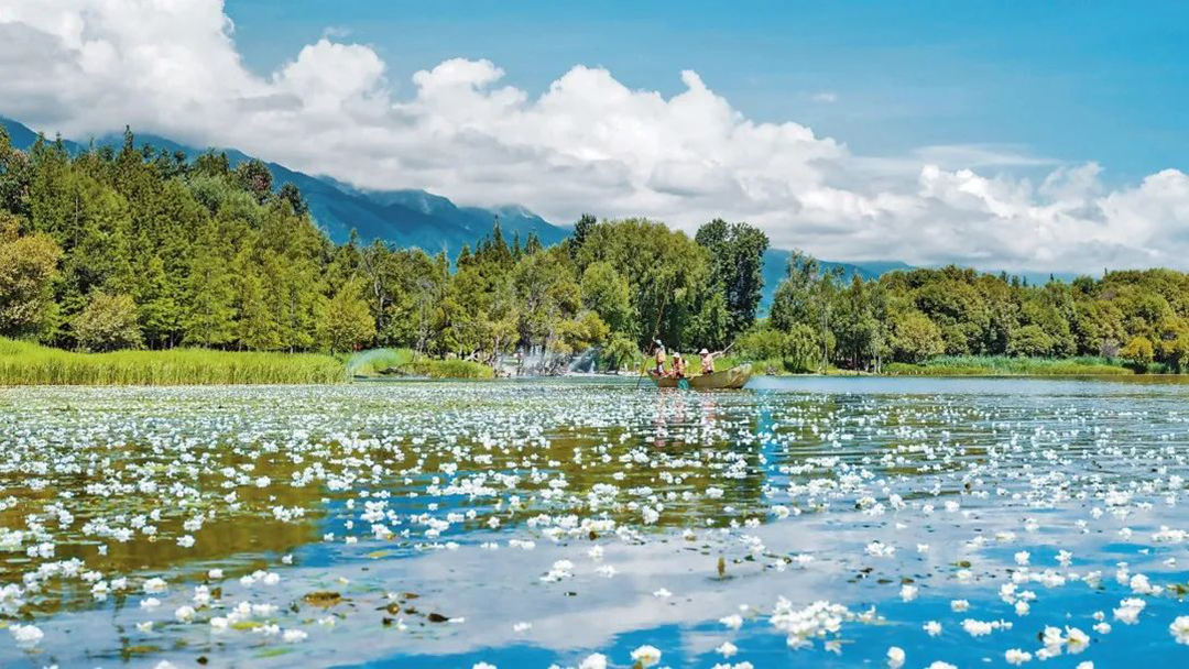 W9BRM5WxVnfVx9HAj5l4GcGKeQ9qDVENq4L9uqd2