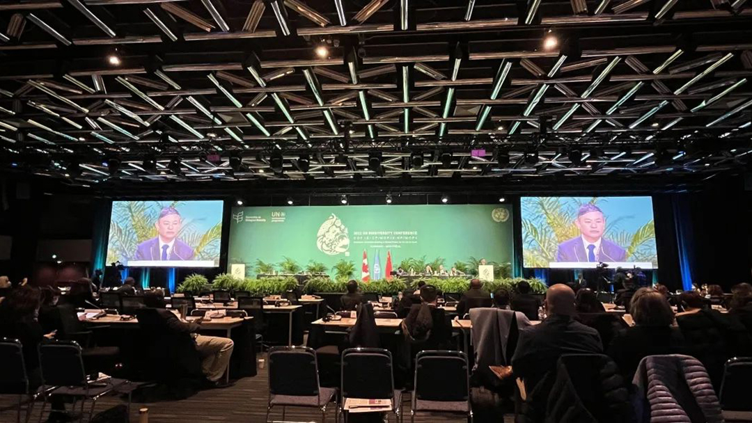 gL0Loa90525M4JkSCNoLcpoRx4qhKF40xwaLgiZF