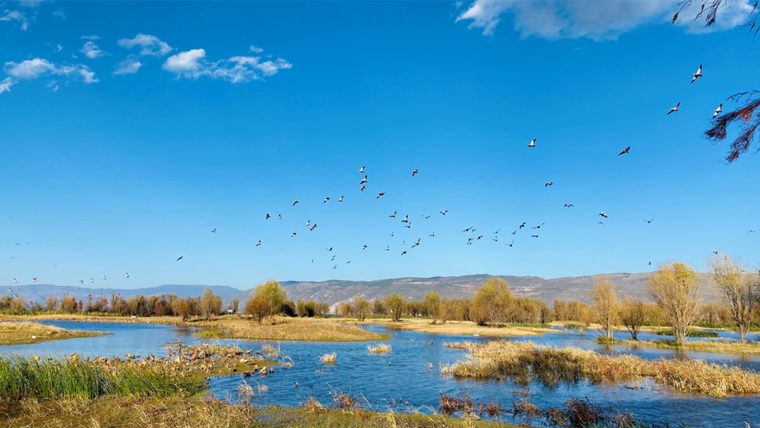 lUVNcDUmMKe1yUD3hjHDo2pd6IMJ1TdEyqjfbjFG