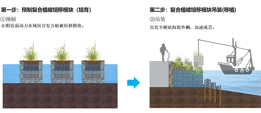 3HVHHGFYPoCCBxWurDgzwqY8pPNgAWZXOpOk0lPc