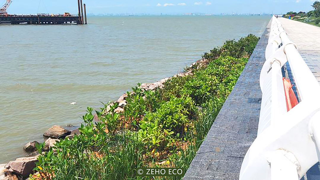 AIHyDeaPvVDtvRTpyCaDu0VMxSLr5fSgqgMipOzj