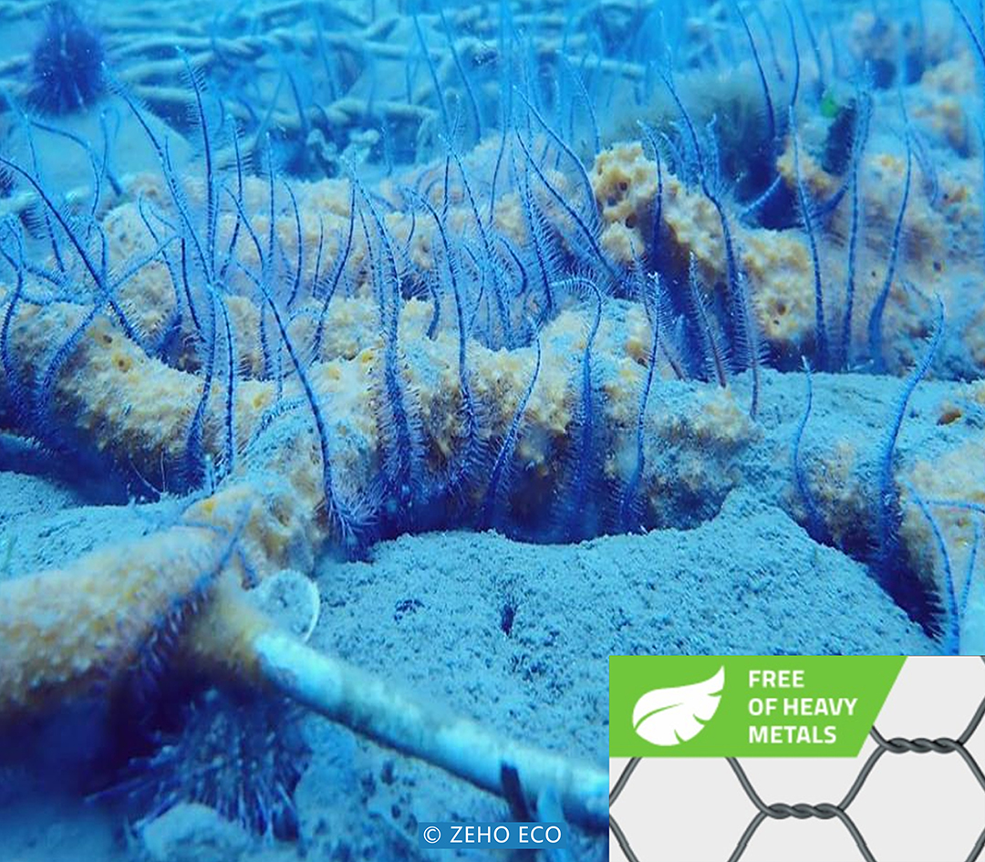 ZaCr7Cb7AbLtJ1V4j3qwIVHdcFKKx5dRET8tJ6Pb