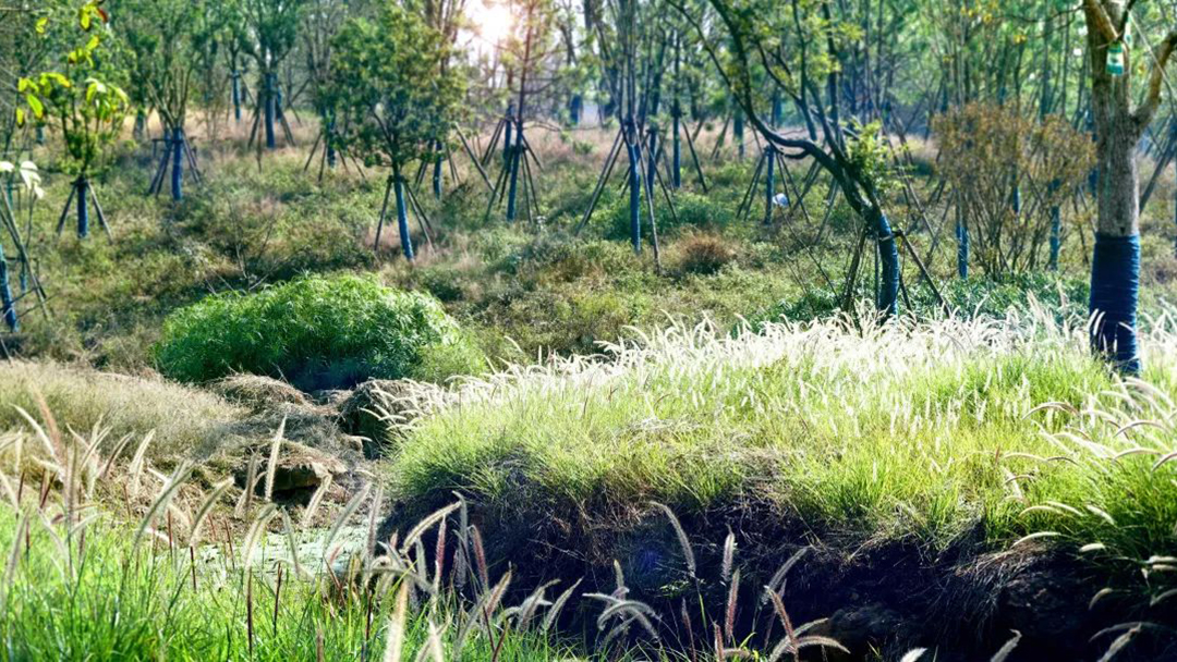 kqRkPOWdkbQhJkUh5ziop1JuGyXlSlx800pGhRCy