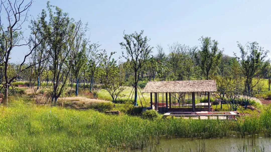 nJwh0eefvf935R2regEMka9PW7MJoxOOl1if4sNT