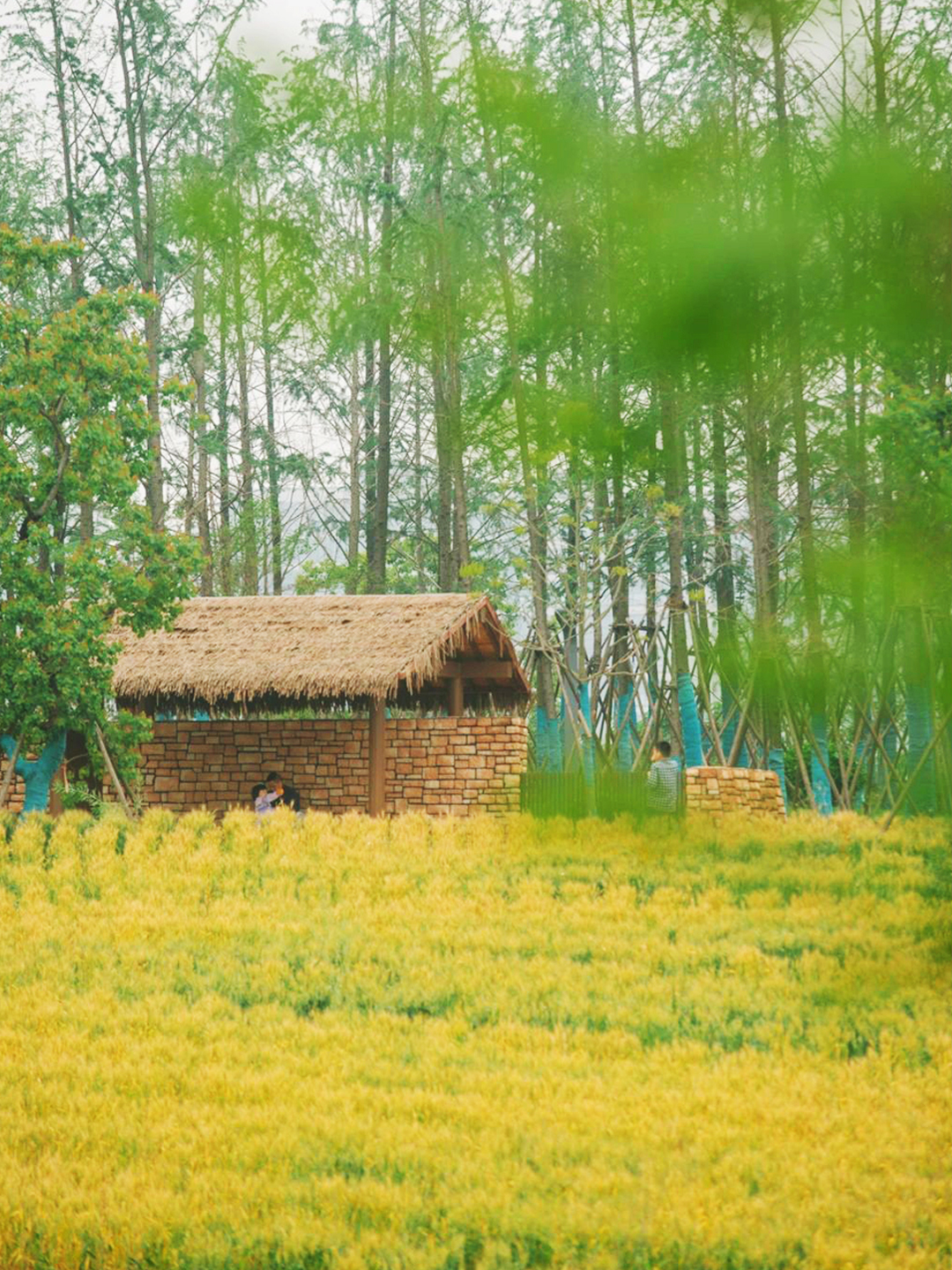 3hAjVr7kkeOEbg1Ay3rPMugS3JpjqNBbAAhWqZW7