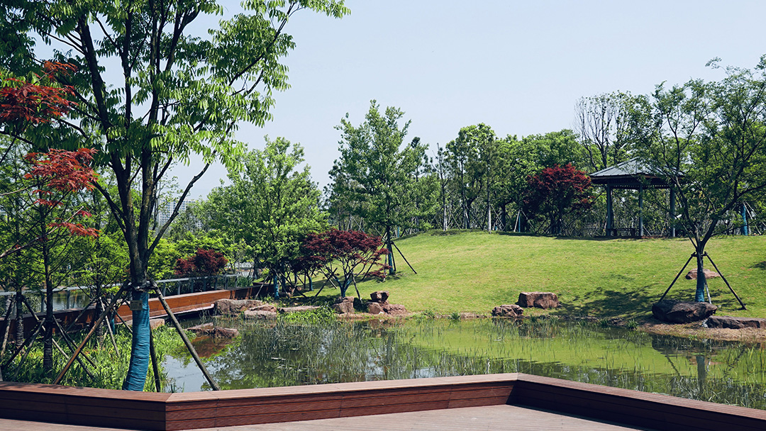 YBtgZP3yVchfnU5ALJ2DCXShOpoVQZpivi2DnKBL