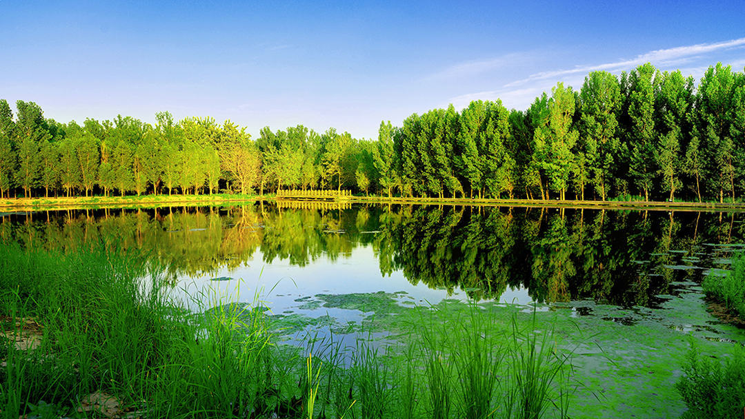 isi6OcnHmcedhRH4zefUBnYNG0eih6jeG2DRrE9E