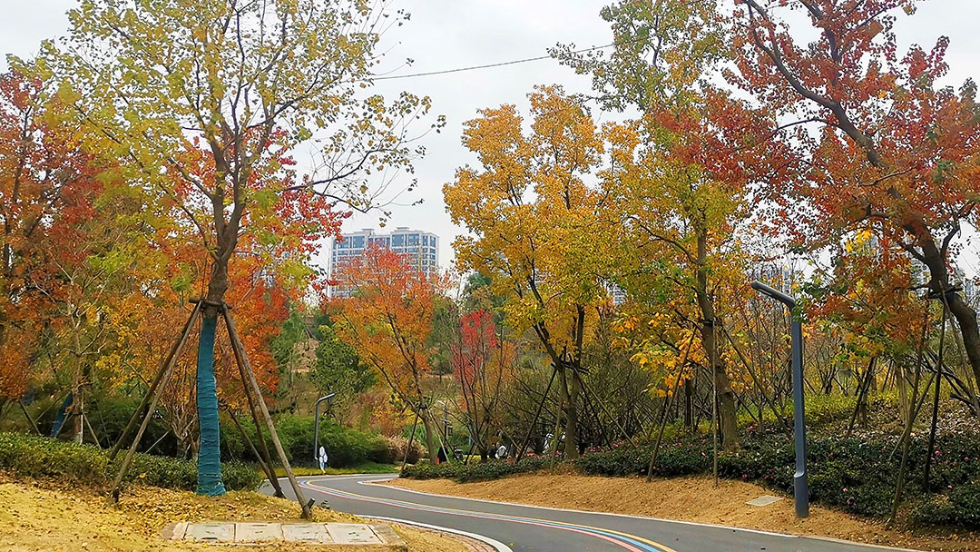 SUC9ufpvkrE8InS7UJT8ApbtbTT9upvQ6KQOPcg3