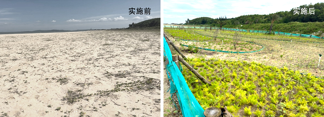 juOBhUPxnVyoicVXEv69oyJjBQE6aPZFlNcTKsoL